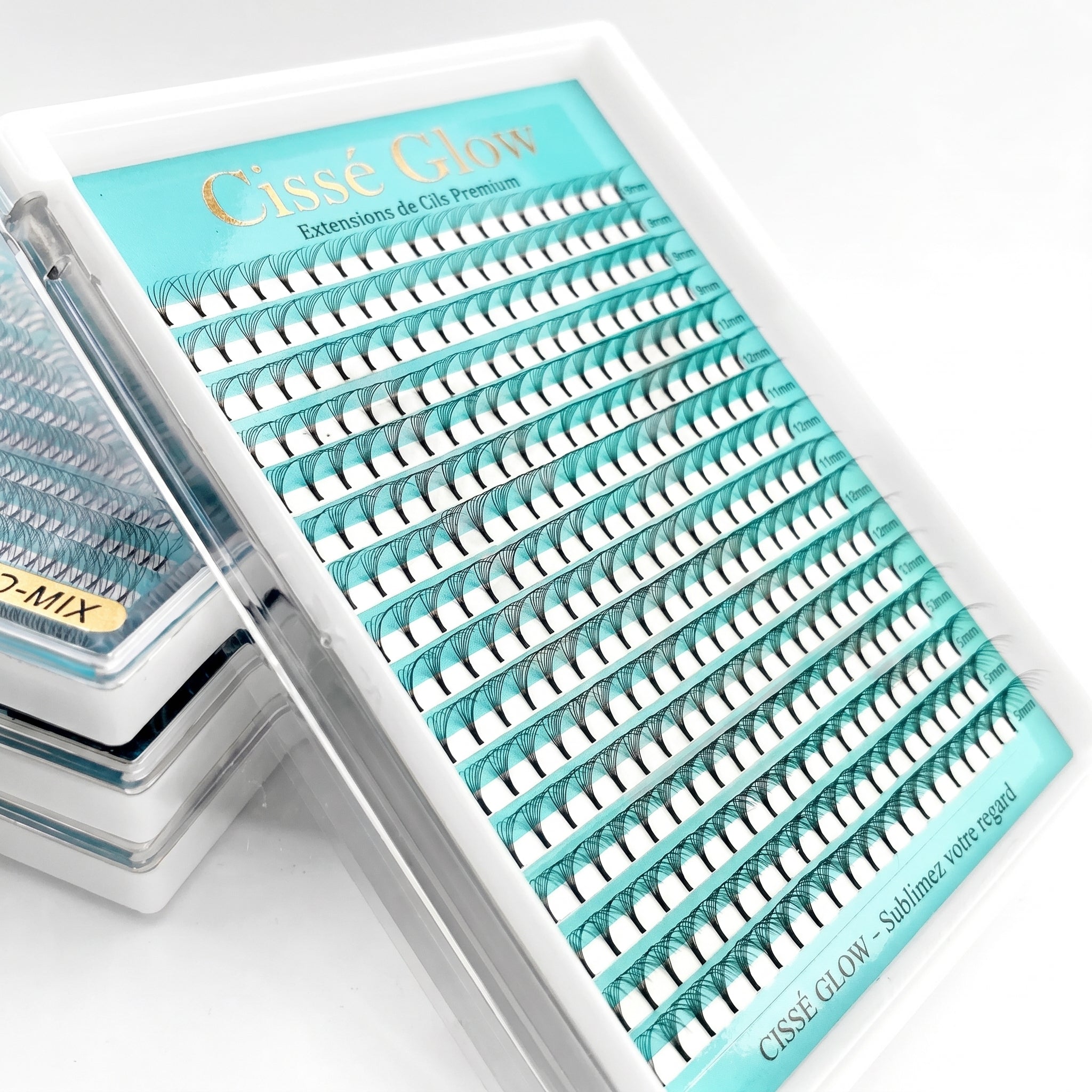 Boîte d’Extensions Cils Pro – Effet Mat Cashmere, Courbe Parfaite